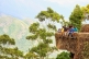 KODAIKANAL -MUNNAR-ALAPPUZHA 04 NIGHTS 03 DAYS